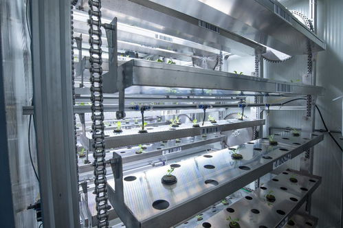 ai技術(shù)真的能讓農(nóng)業(yè)不再 靠天吃飯 嗎