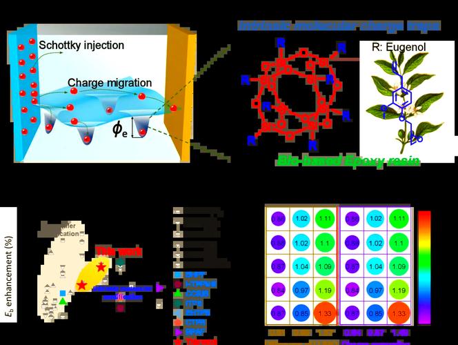 中科院寧波材料所劉小青團隊研發(fā)環(huán)保型電工環(huán)氧樹脂